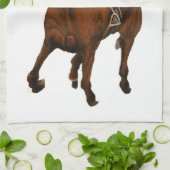 Equine Thoroughbred Wins Horse Race Theedoek (Gevouwen)