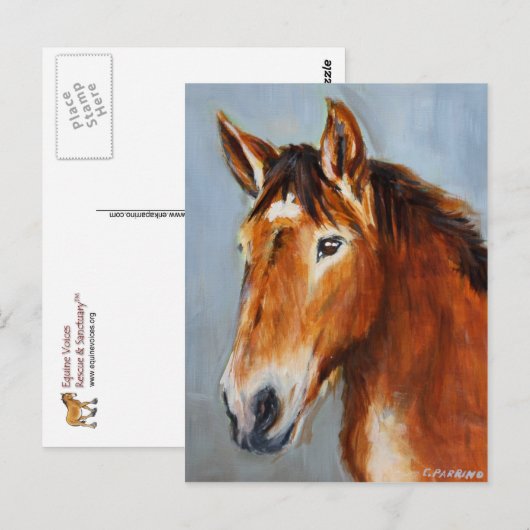 Equine Voices Gulliver Briefkaart (Voorkant / Achterkant)