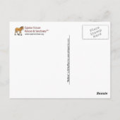 Equine Voices Gulliver Briefkaart (Achterkant)