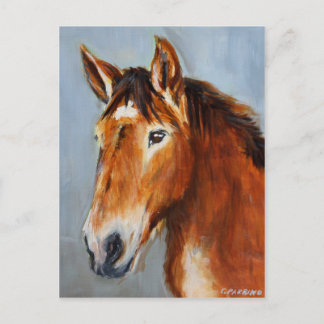 Equine Voices Gulliver Briefkaart