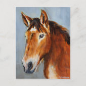 Equine Voices Gulliver Briefkaart (Voorkant)