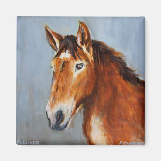 Equine Voices Gulliver Magnet (Voorkant)