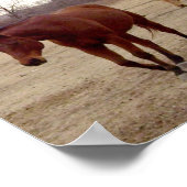 Equine Volg het Poster Leader (Hoek)