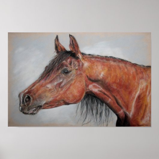 Equirig Poster (Voorkant)