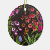Equitant Oncidium Tolumnia Orchids Ornament (Links)