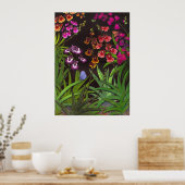 Equitant Oncidium Tolumnia Orchids Print (Keuken)