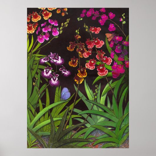 Equitant Oncidium Tolumnia Orchids Print (Voorkant)