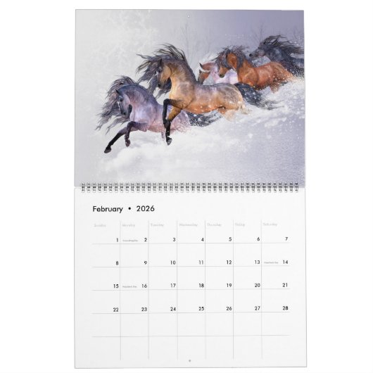 EQUUS II-kalender Kalender (Feb 2026)