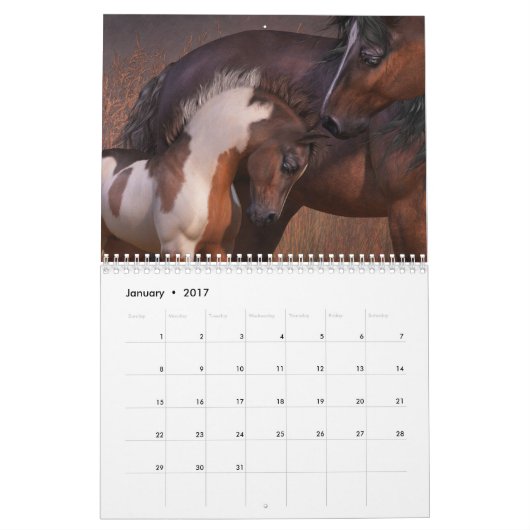 Equus Untamed Horse Calendar Kalender (Jan 2017)