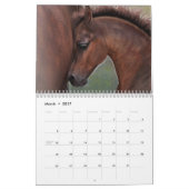 Equus Untamed Horse Calendar Kalender (Mar 2017)
