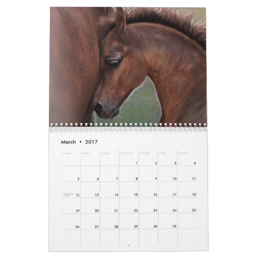 Equus Untamed Horse Calendar Kalender (Mar 2017)