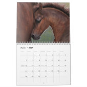 Equus Untamed Horse Calendar Kalender (Mar 2027)