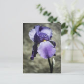 Er is Beauty Briefkaart (Staand voorkant)