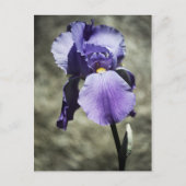 Er is Beauty Briefkaart (Voorkant)