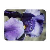 Er is Beauty Premium Magnet Magneet (Horizontaal)