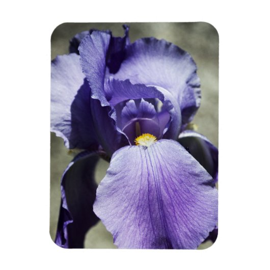 Er is Beauty Premium Magnet Magneet (Verticaal)