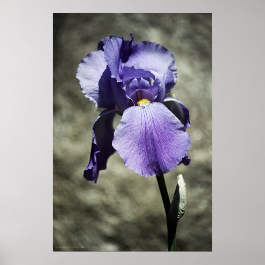 Er is Beauty Print (Voorkant)