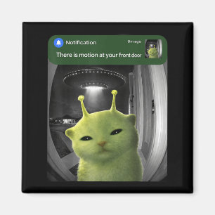 Er is beweging bij de voordeur Funny Cat UFO Meme Magneet