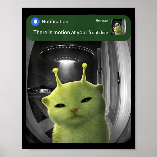 Er is beweging bij de voordeur Funny Cat UFO Meme Poster (Voorkant)