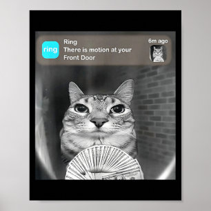 Er is beweging bij de voordeur grappige kat meme c poster