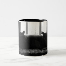 Er is daar iets beters tweekleurige koffiemok