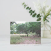 Er is een dinosaurus in het bos... briefkaart (Staand voorkant)