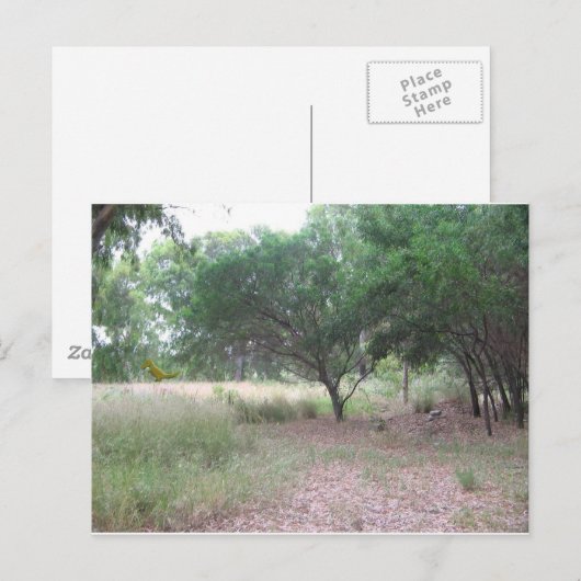 Er is een dinosaurus in het bos... briefkaart (Voorkant / Achterkant)