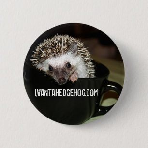 Er is een egel in mijn koffie ronde button 5,7 cm