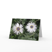 Er is een Flower African Daisy Quotation Greeting