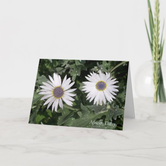 Er is een Flower African Daisy Quotation Greeting Kaart (Voorkant)