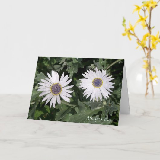 Er is een Flower African Daisy Quotation Greeting Kaart (Gele Bloem)