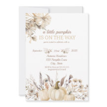 Er Is Een Klein Pompoentje Onderweg 