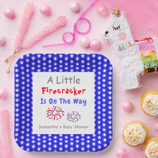 Er is een kleine vuurwerker onderweg papieren bordje (Feest)