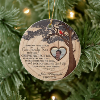 Er is een ledemaat van ons Ornament gevallen