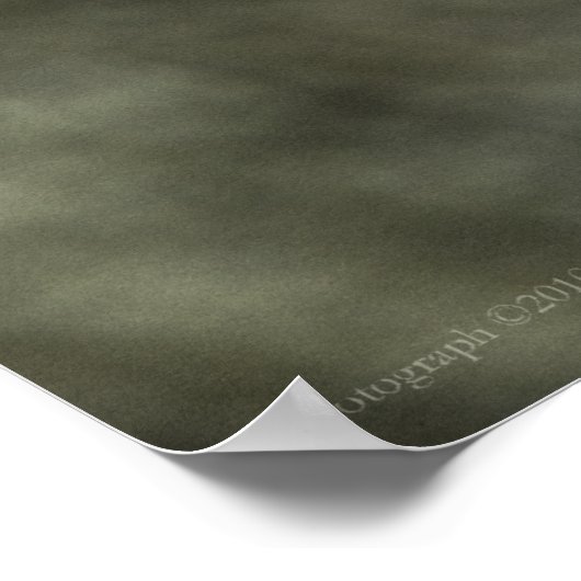 Er is een mooie afdruk poster (Hoek)