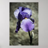 Er is een mooie afdruk poster (Voorkant)