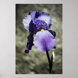 Er is een mooie afdruk poster