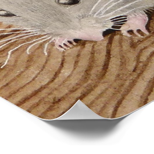 Er is een muis in huis! poster (Hoek)