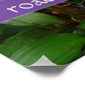 Er is geen koninklijke weg naar het leren van post poster (Hoek)