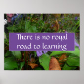 Er is geen koninklijke weg naar het leren van post poster (Voorkant)