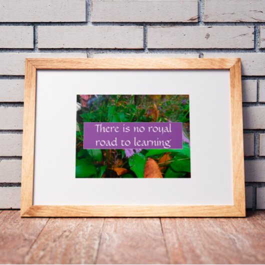 Er is geen koninklijke weg naar het leren van post poster