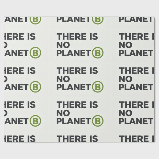 Er Is Geen Planeet B Milieuactivist Cadeaupapier (Vlak)
