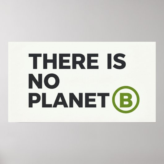 Er Is Geen Planeet B Milieuactivist Poster (Voorkant)