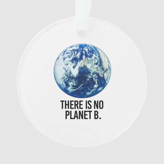 Er is geen Planet B Ornament (voorkant)