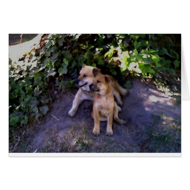 Er is geen plek waar ik liever zou zijn (Voorkant Horizontaal)