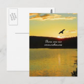 Er is geen toeval briefkaart (Voorkant / Achterkant)