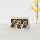 Er is geen vervloeking aan de hand. kaart (Gele Bloem)