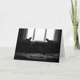 Er is iets beters (sympathie) kaart