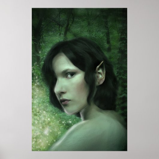 Er is Magie in het bos Poster (Voorkant)