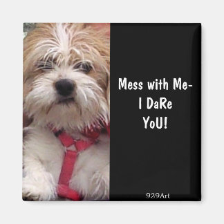 Er is niets anders dan een hond magneet